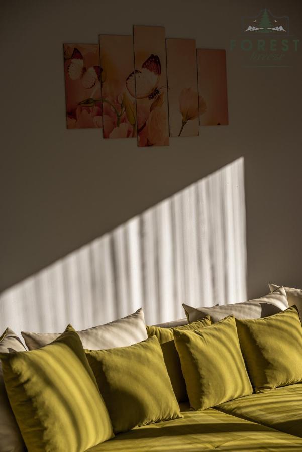 Forest Breeze Apartterrace 브라쇼브 외부 사진