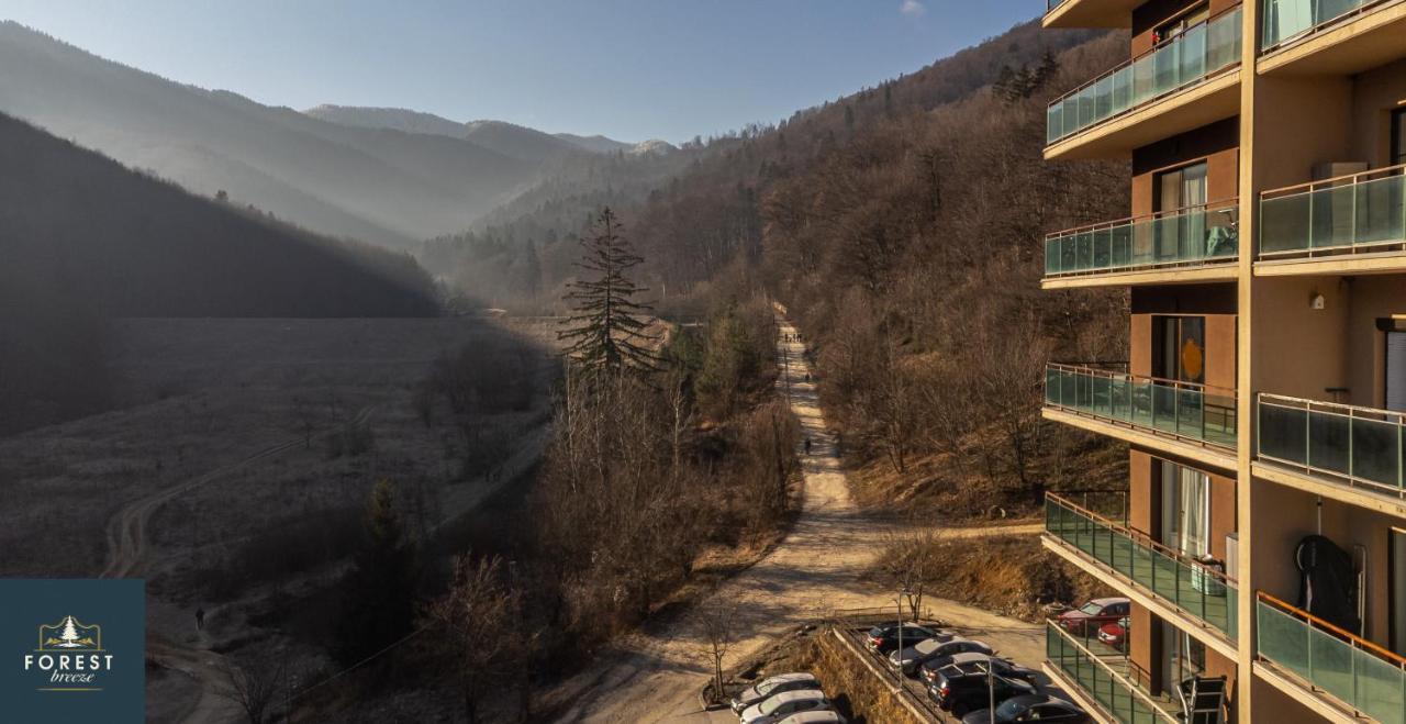 Forest Breeze Apartterrace 브라쇼브 외부 사진