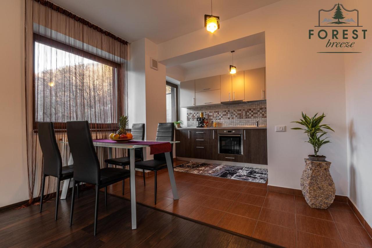 Forest Breeze Apartterrace 브라쇼브 외부 사진