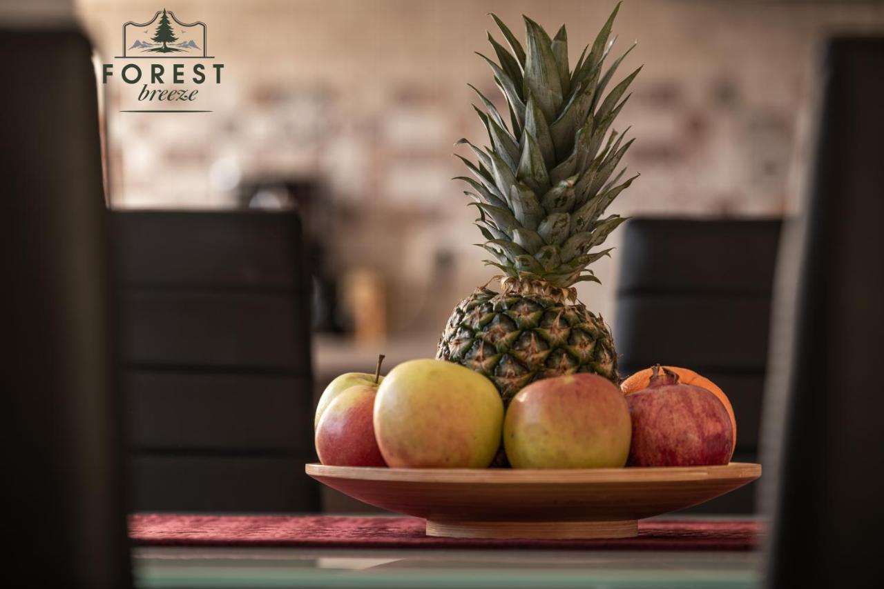 Forest Breeze Apartterrace 브라쇼브 외부 사진