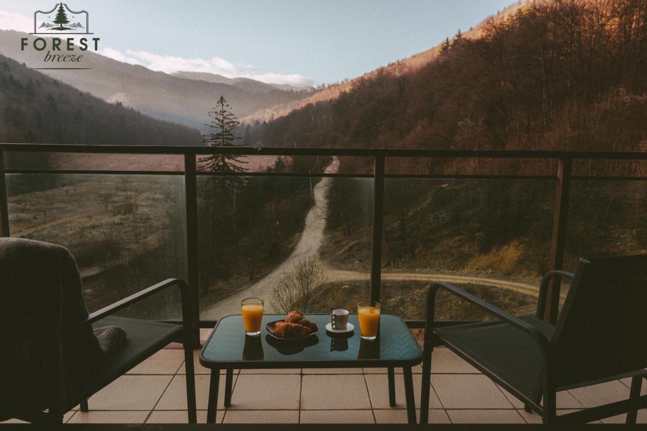 Forest Breeze Apartterrace 브라쇼브 외부 사진