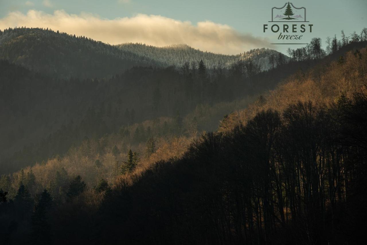 Forest Breeze Apartterrace 브라쇼브 외부 사진