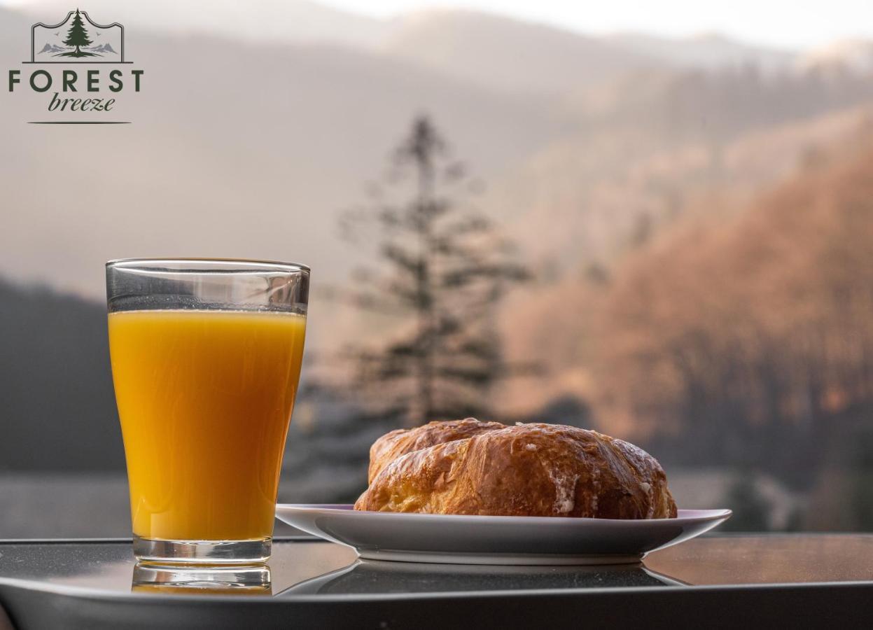 Forest Breeze Apartterrace 브라쇼브 외부 사진