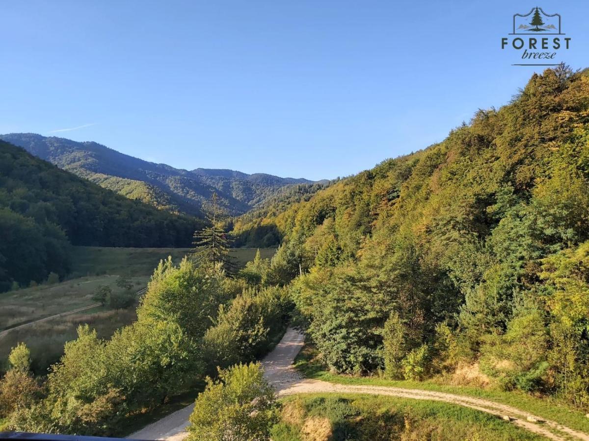 Forest Breeze Apartterrace 브라쇼브 외부 사진