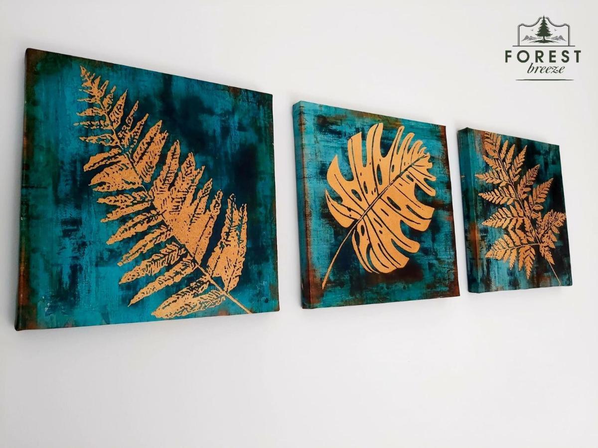 Forest Breeze Apartterrace 브라쇼브 외부 사진